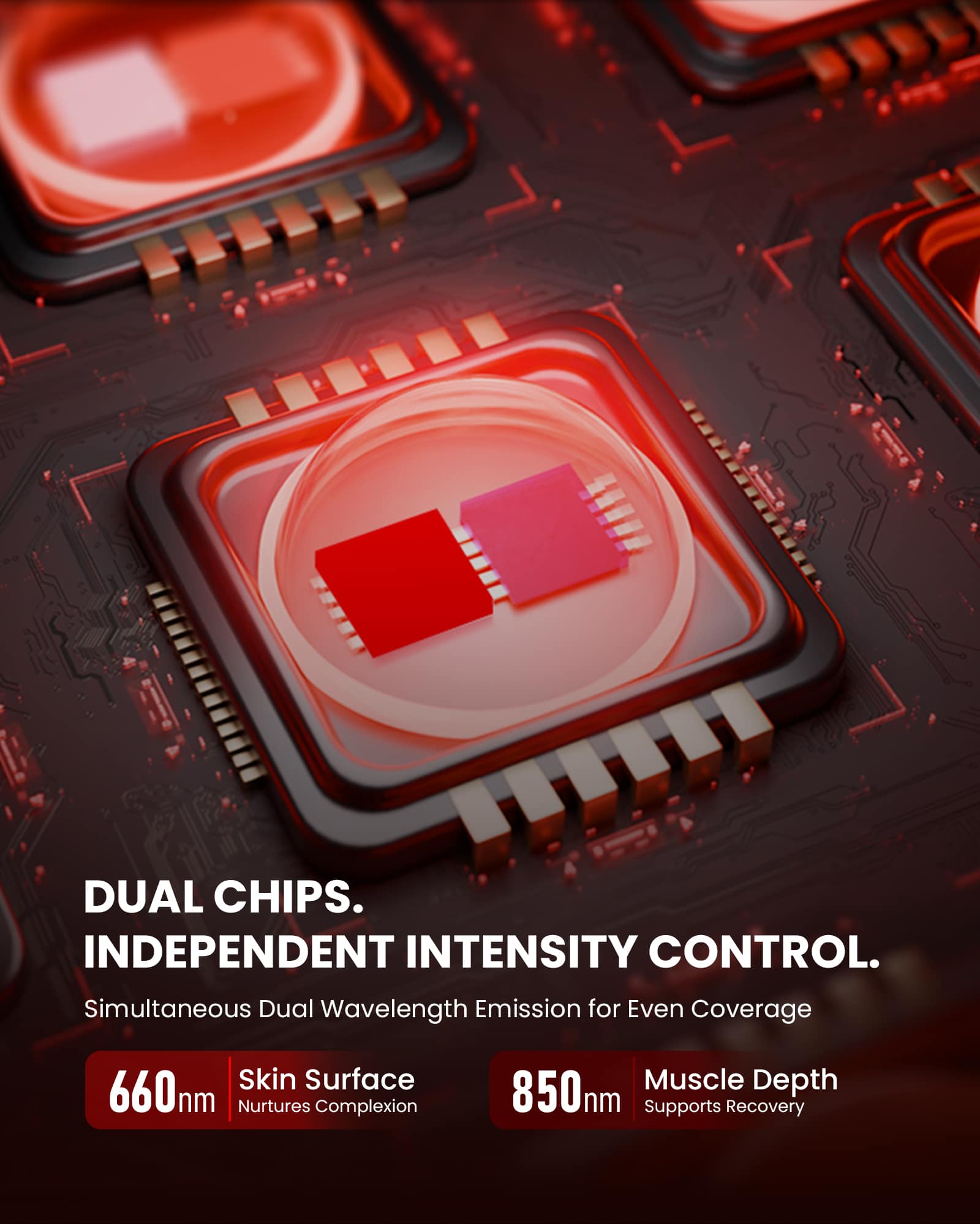 Close-up of dual chips inside the EmberPRO 650 device offering independent intensity control for red and near-infrared therapy.